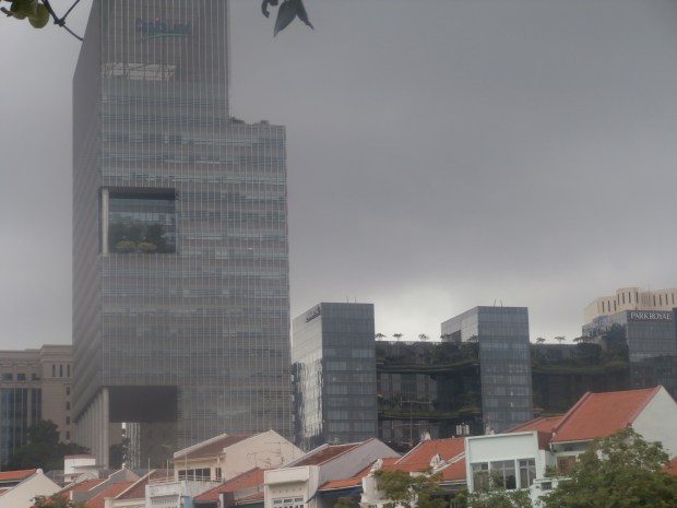 Green spaces are everywhere in Singapore!