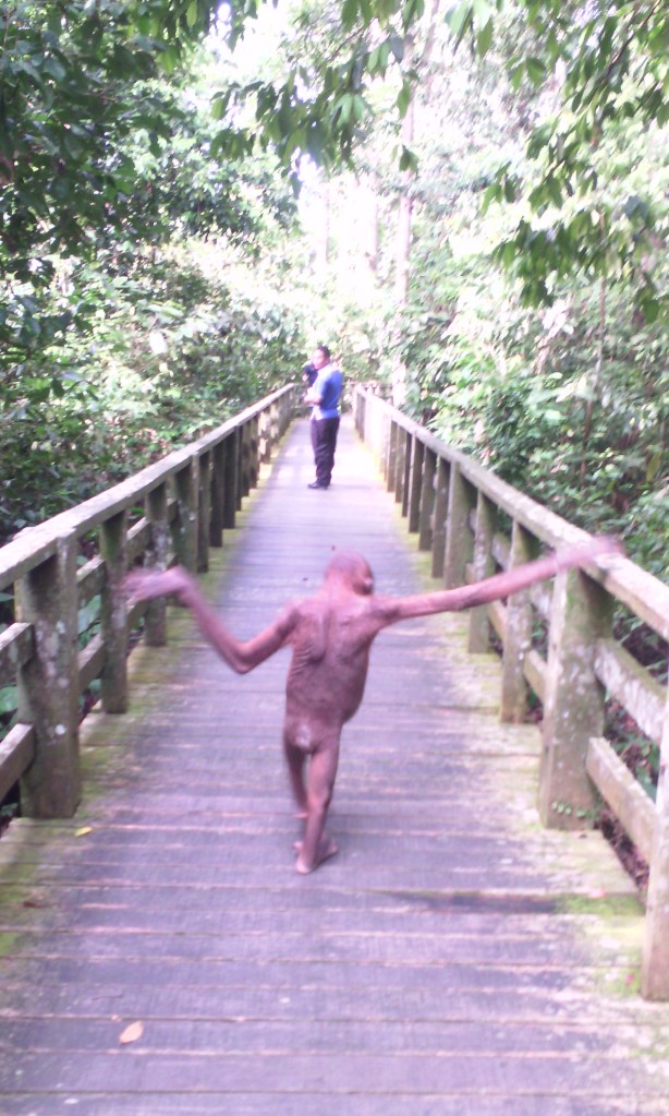 Solomon, sauntering down the path