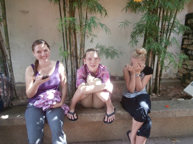 Recovering from a brief episode of overheating