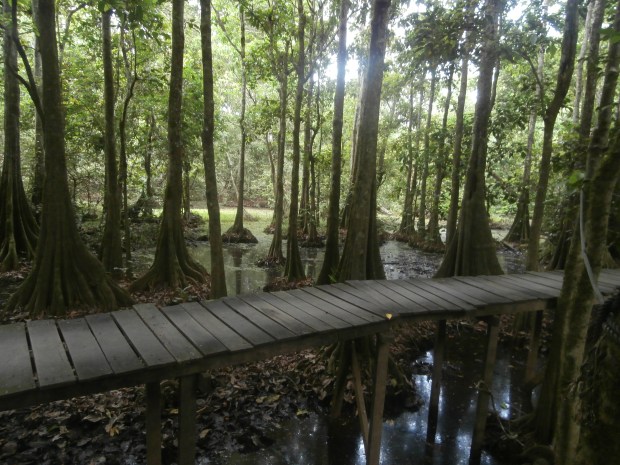 Walkway to the bathroom. Cool setting, but also why I didn't want to walk to the bathroom in the middle of the night.