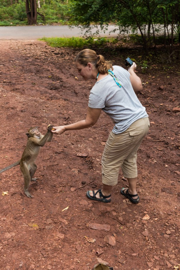 21835286024_67e88a84a1_k