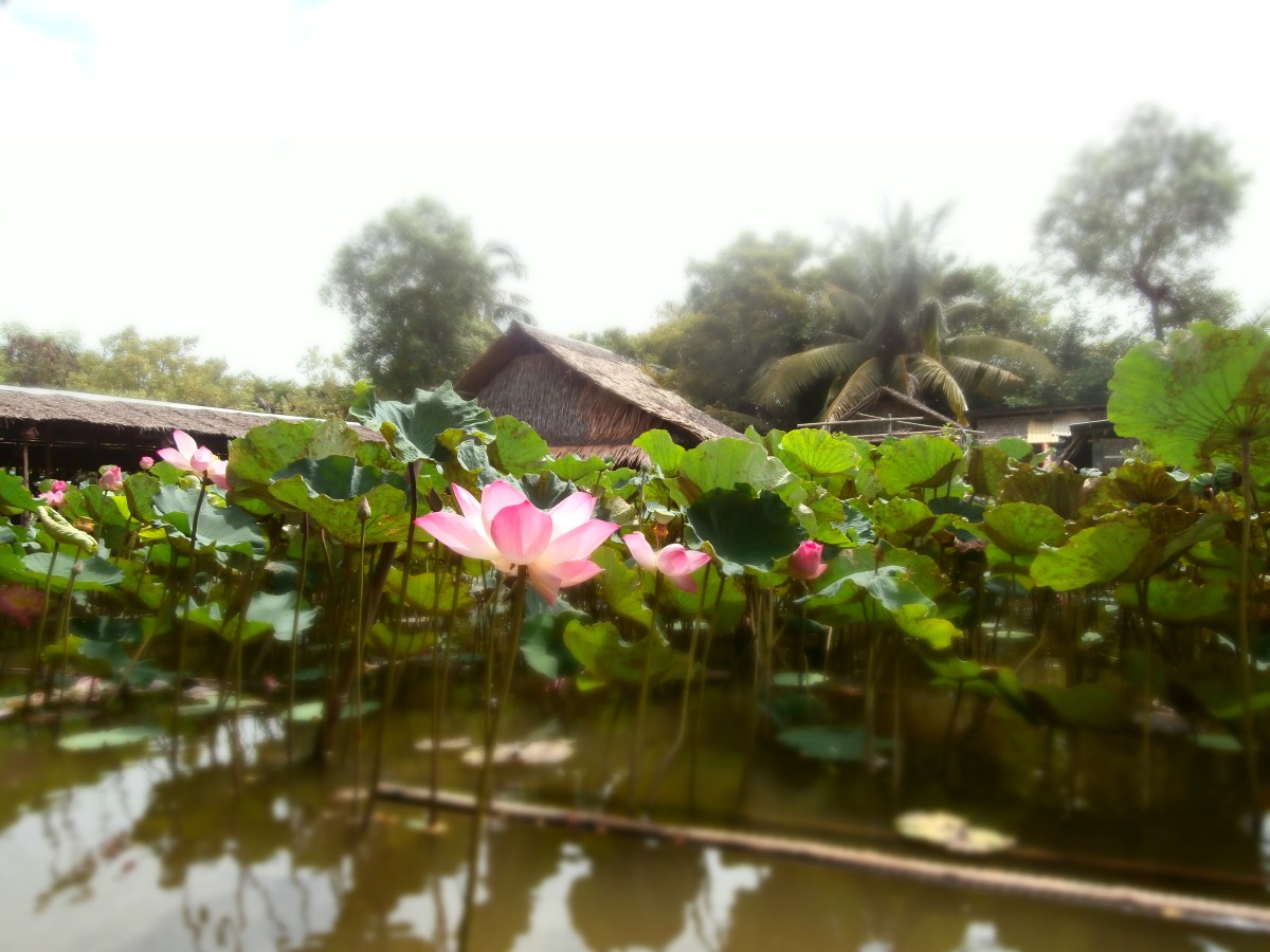 Khlong Lat Mayom Floating Market