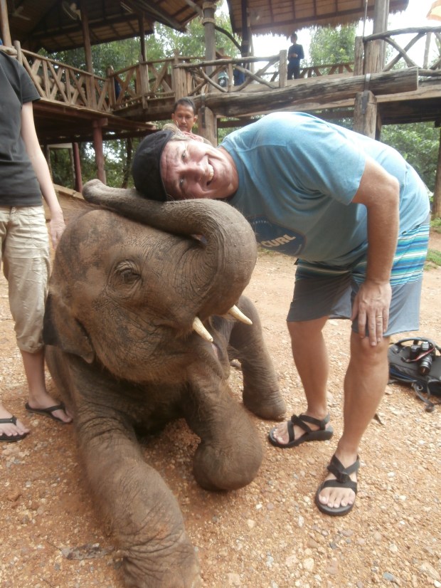 Kanchanaburi elephants