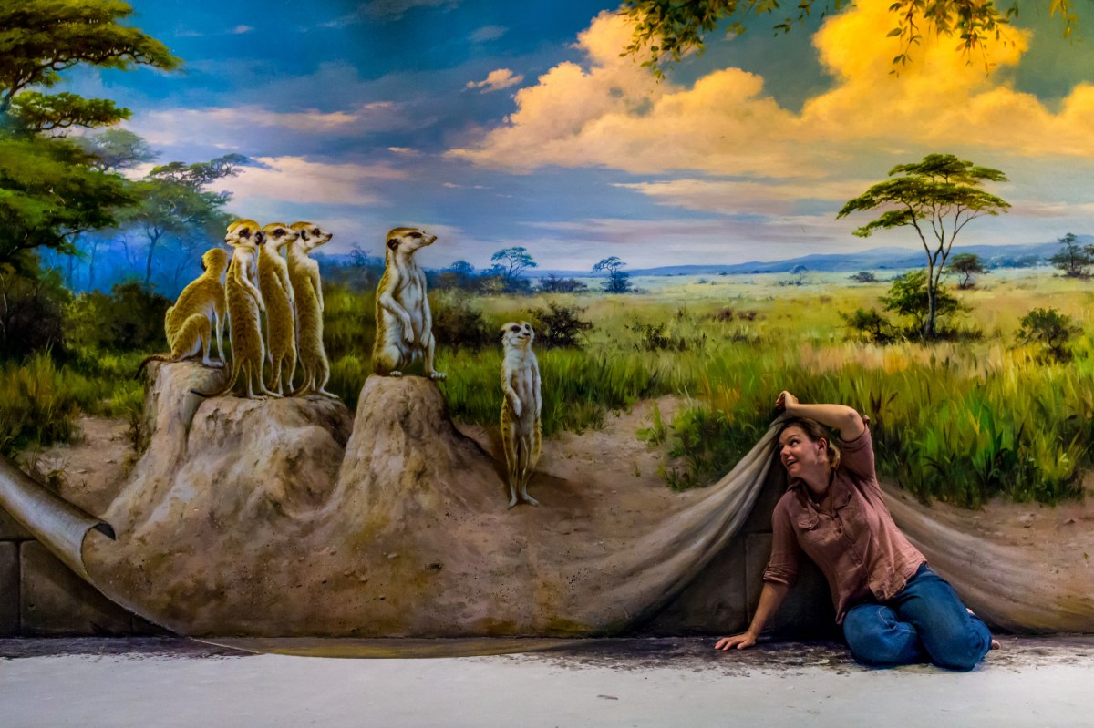 Art in Paradise Chiang Mai