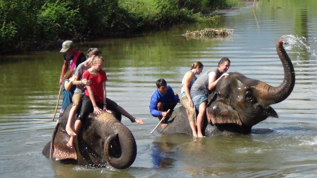 Thom's elephant camp