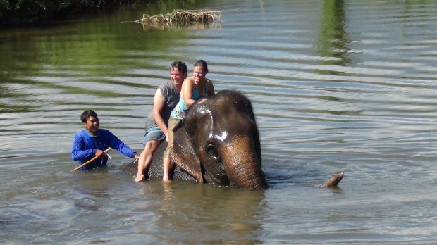 Thom's elephant camp