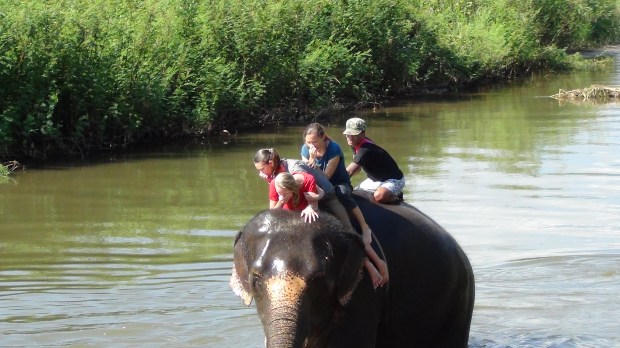 Thom's elephant camp