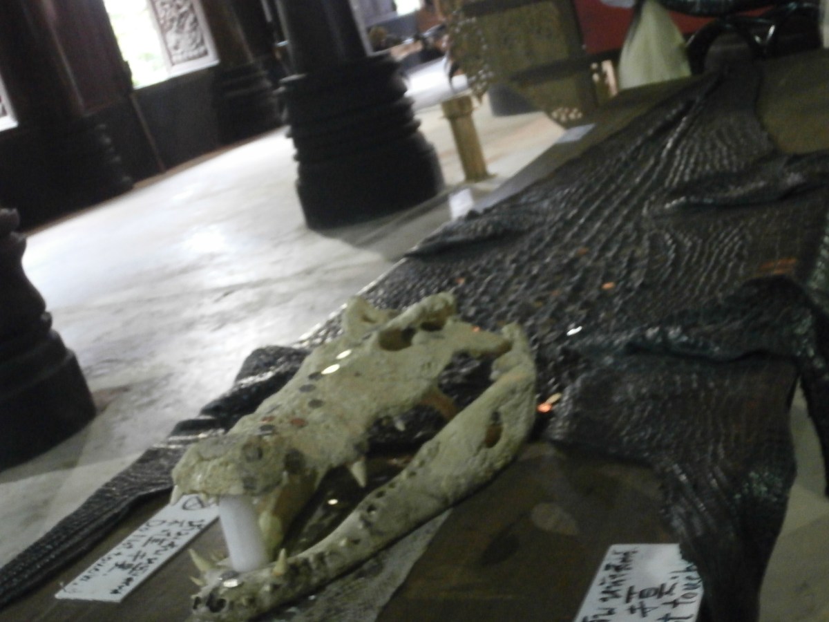 The Black House Chiang Rai