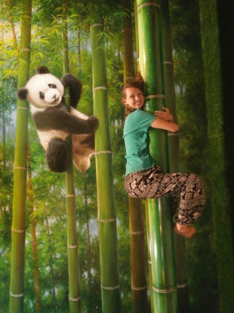 Art in Paradise Chiang Mai