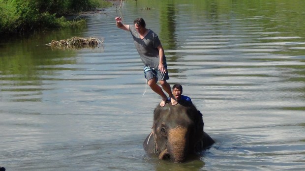 Thom's elephant camp