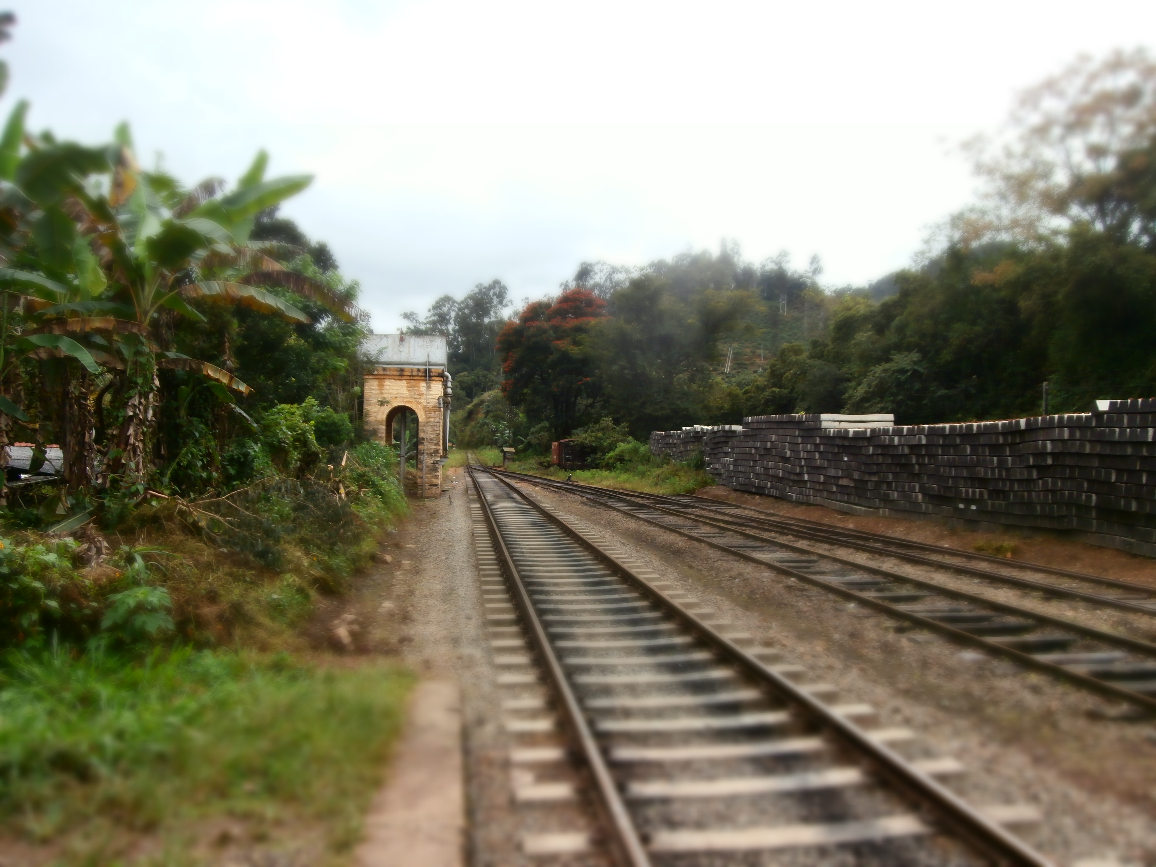 Trains in Sri Lanka