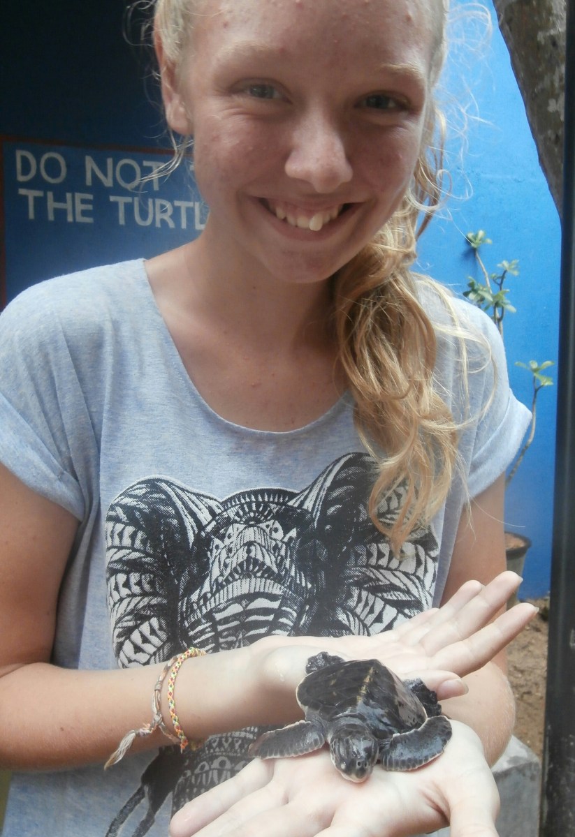 Habaraduwa turtle hatchery