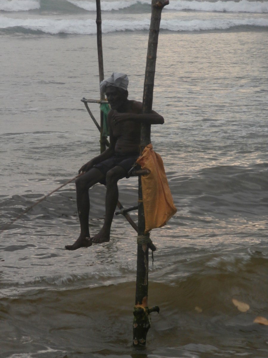 Ahangama stilt fishermen Sri Lanka