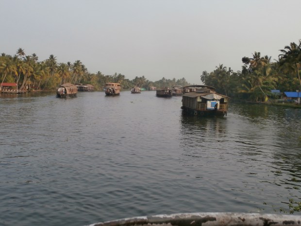 Kerala backwaters