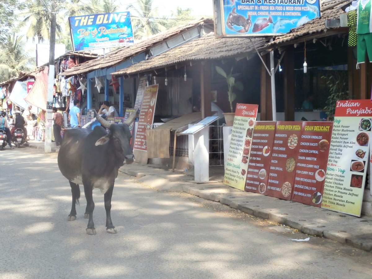 Palolem beach, goa